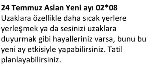 ay7 (20).webp