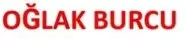 ay7 (21) - Kopya.webp