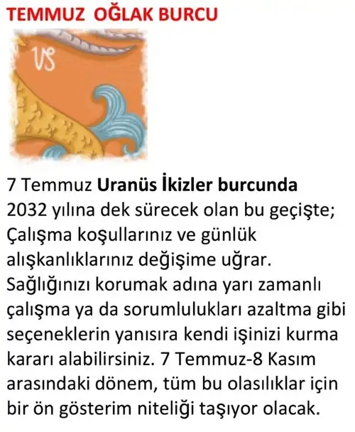 ay7 (21).webp