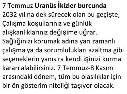 ay7 (21).webp