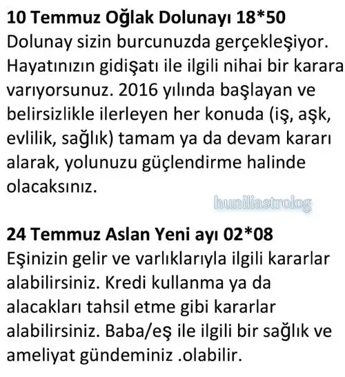 ay7 (22).webp