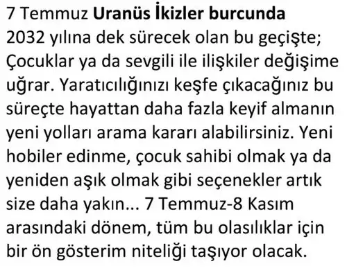 ay7 (23).webp