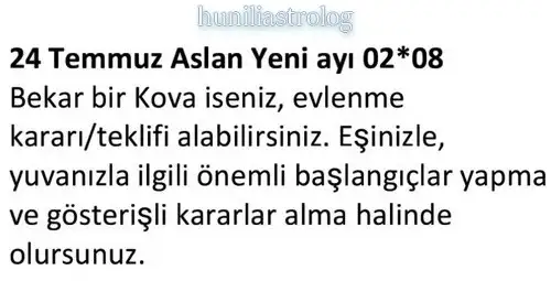ay7 (24).webp