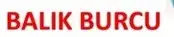 ay7 (25) - Kopya.webp