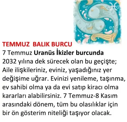 ay7 (25).webp
