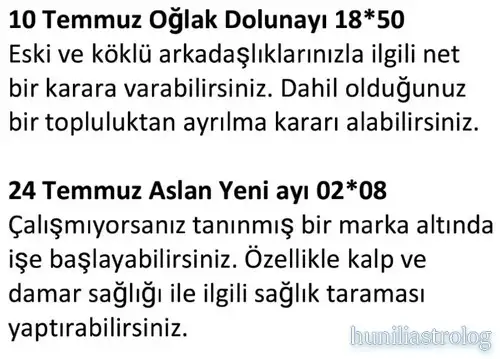 ay7 (26).webp