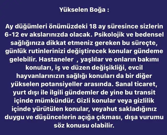 ay7 (3).webp
