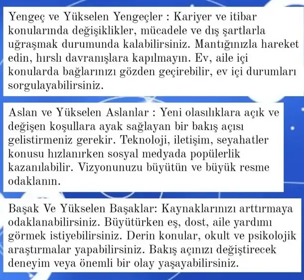 ay7 (3).webp
