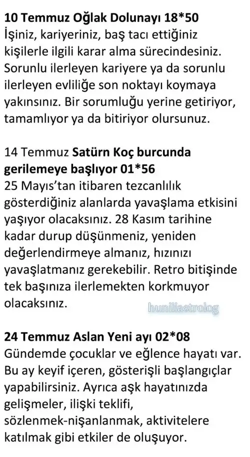 ay7 (3).webp