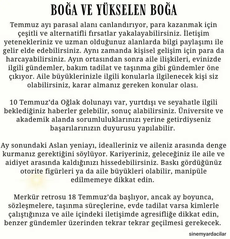 ay7 (3).webp