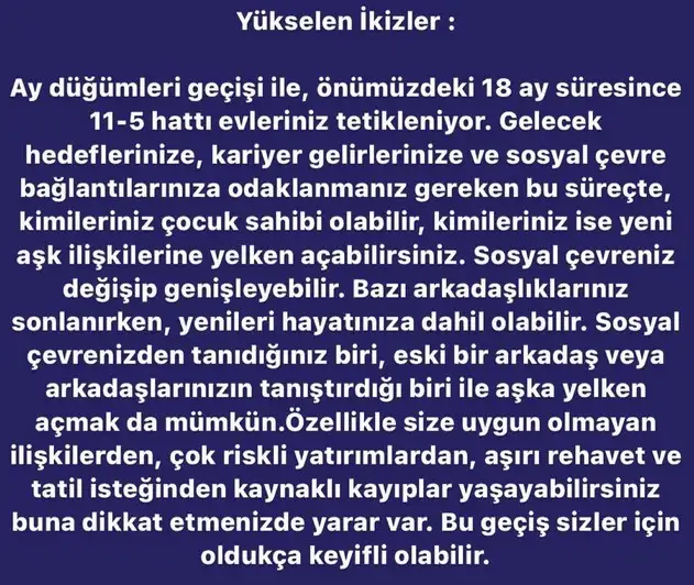 ay7 (4).webp