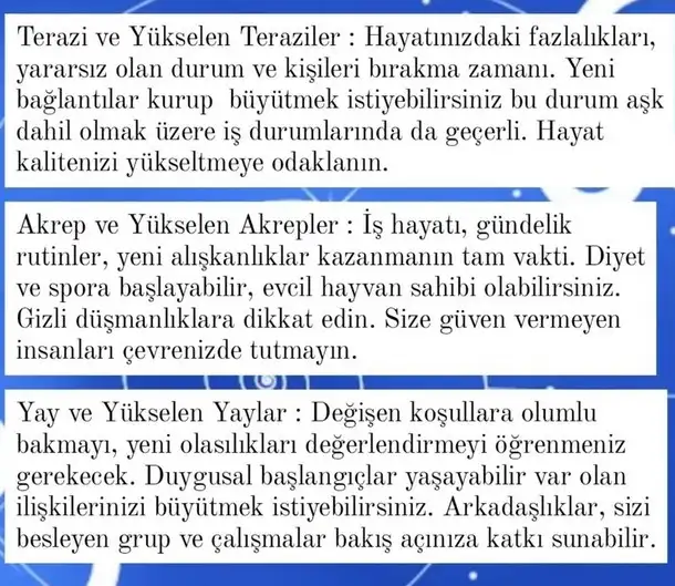ay7 (4).webp