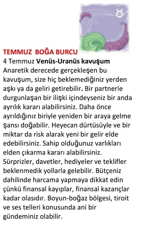ay7 (4).webp