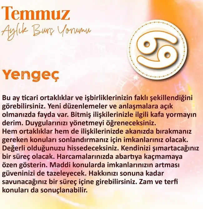 ay7 (4).webp