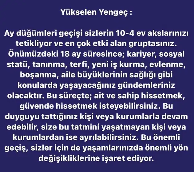 ay7 (5).webp