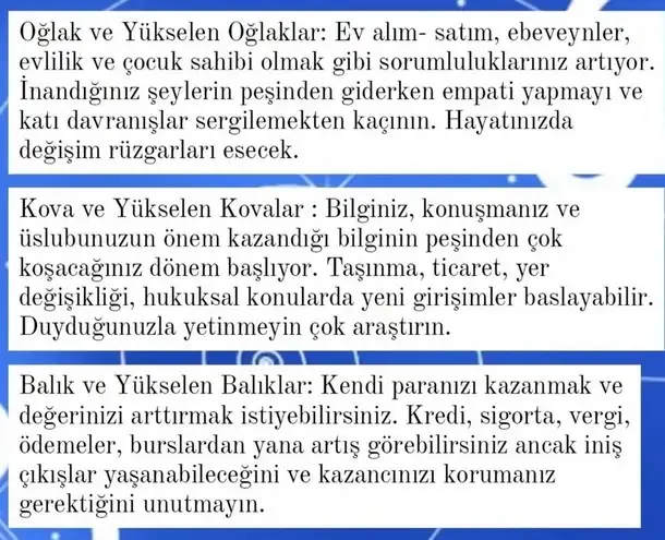ay7 (5).webp