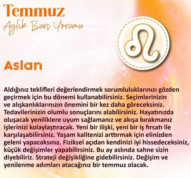 ay7 (5).webp