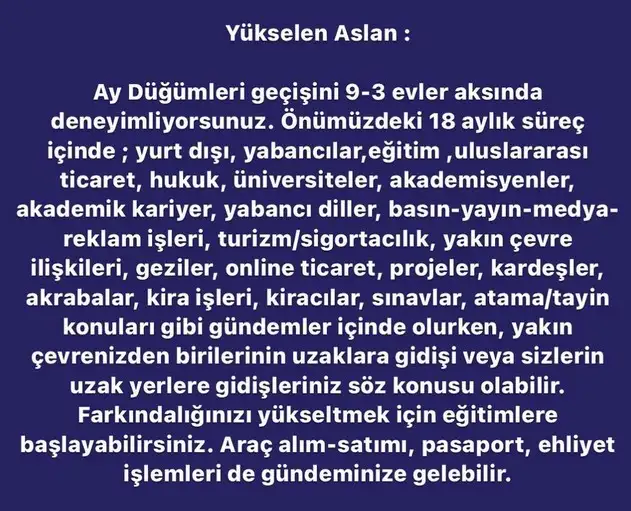ay7 (6).webp