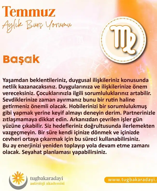 ay7 (6).webp