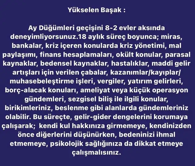 ay7 (7).webp