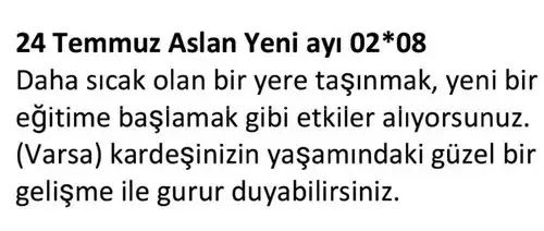 ay7 (7).webp