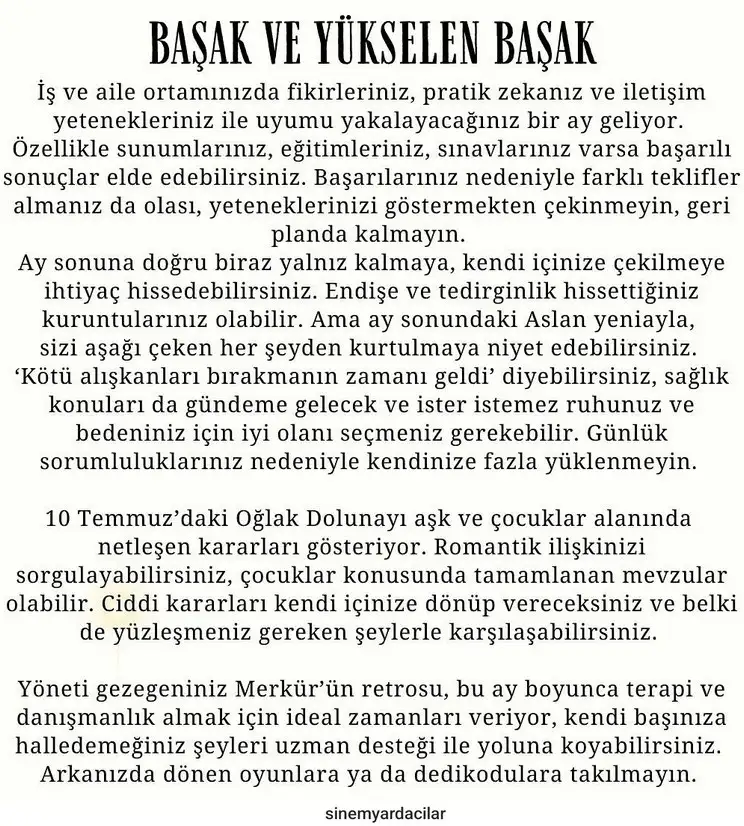 ay7 (7).webp
