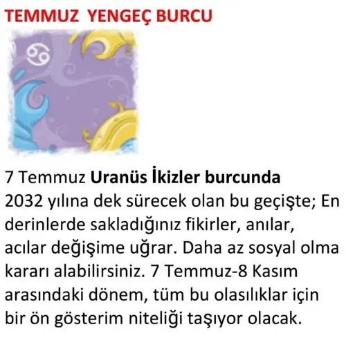 ay7 (8).webp