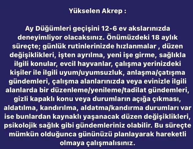 ay7 (9).webp