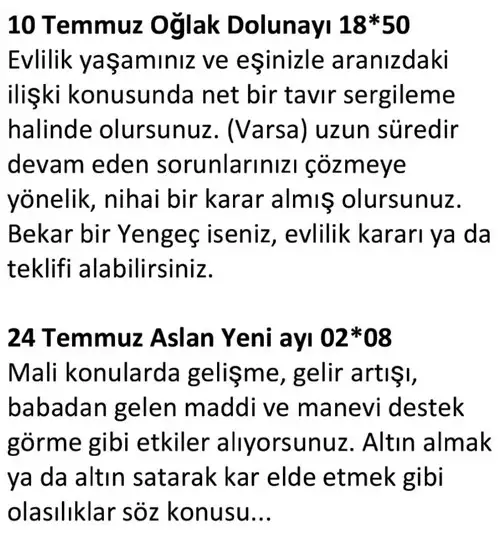 ay7 (9).webp