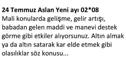 ay7 (9).webp
