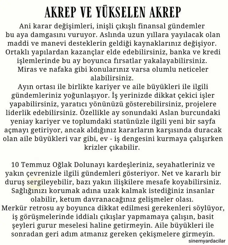 ay7 (9).webp
