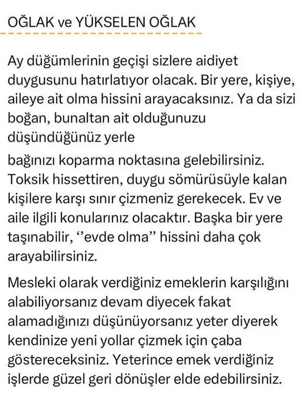 ay70 (10).webp