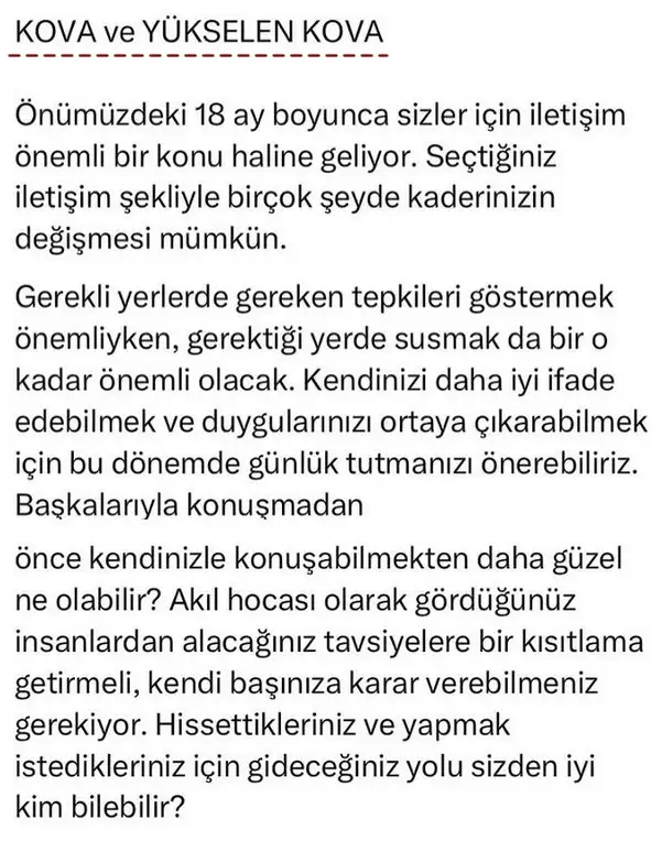 ay70 (11).webp