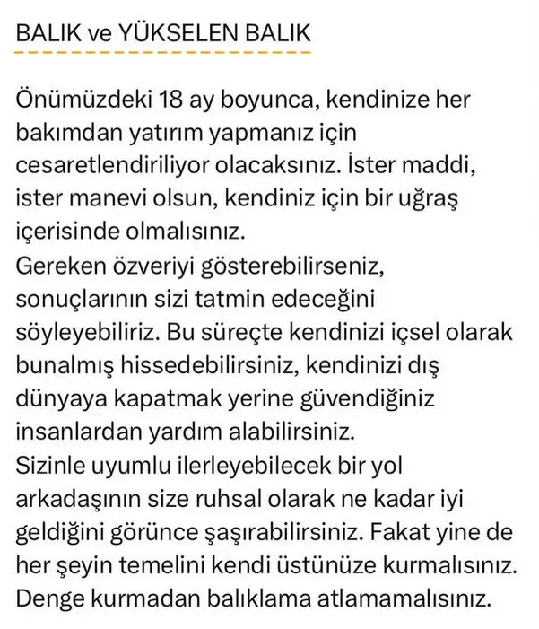 ay70 (12).webp