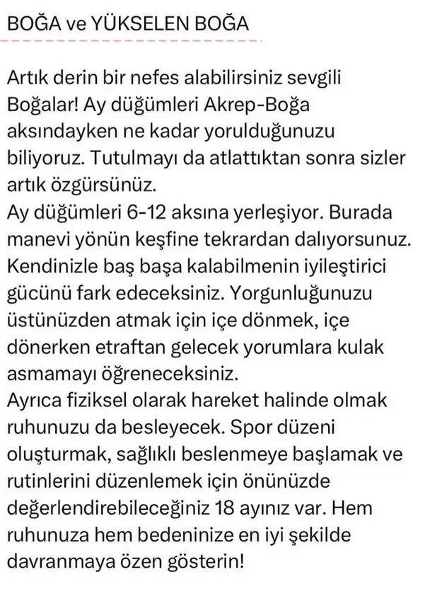 ay70 (2).webp