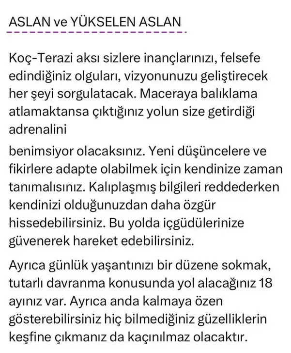 ay70 (5).webp