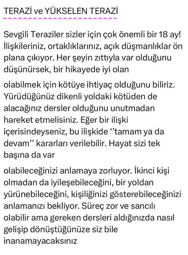 ay70 (7).webp