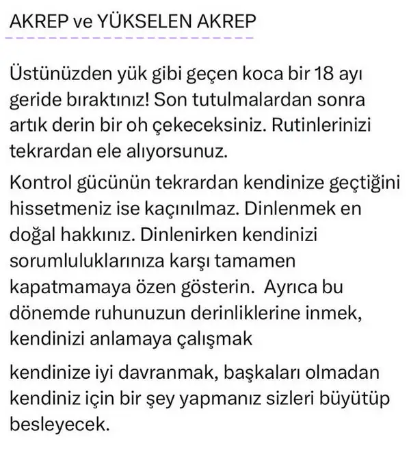 ay70 (8).webp
