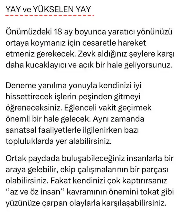 ay70 (9).webp
