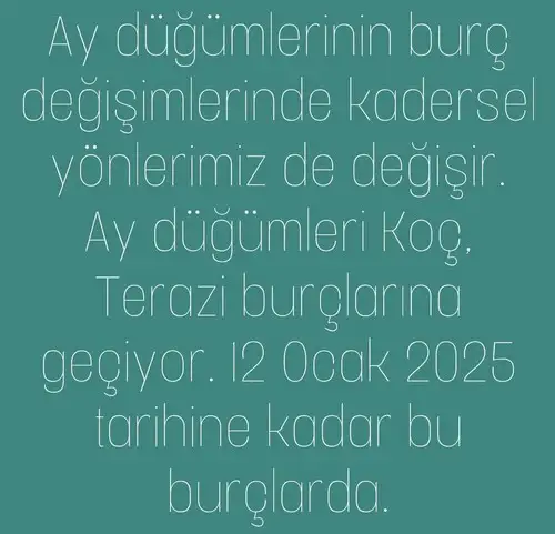 ay71 (2).webp