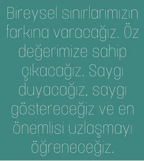 ay71 (5).webp