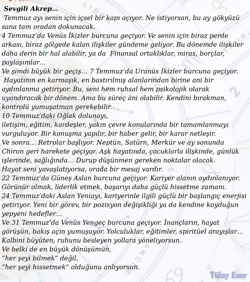 ay8 (10).webp