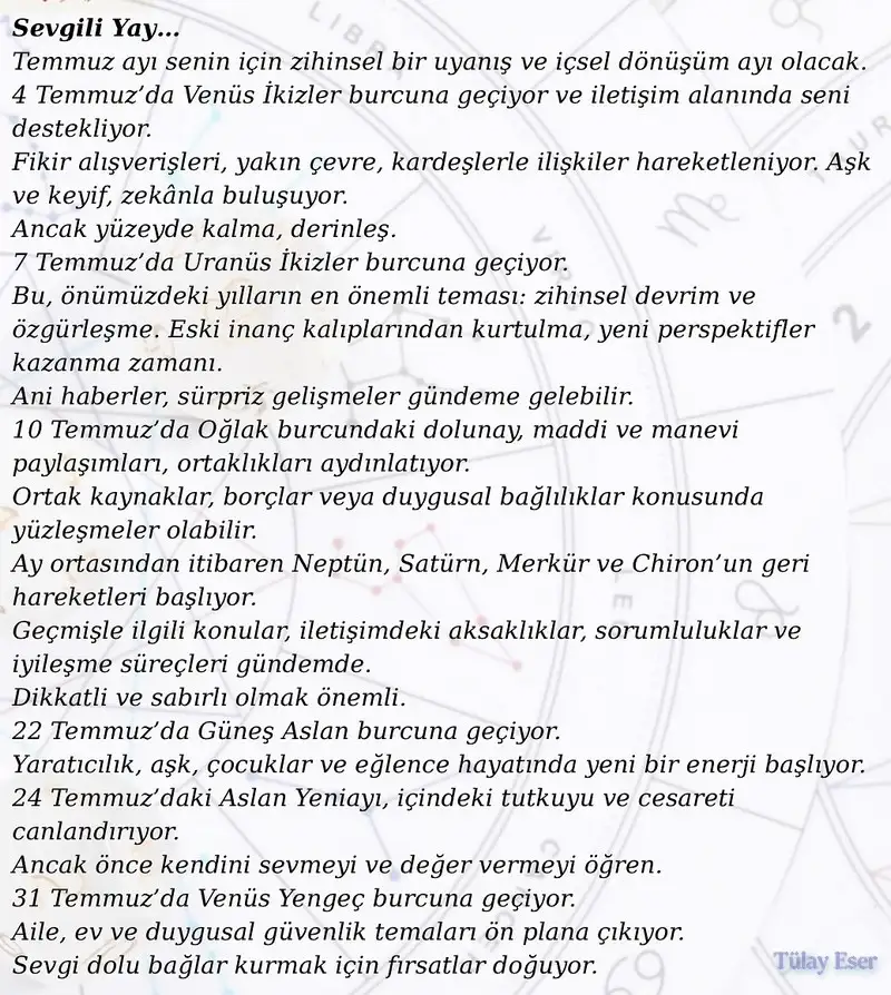 ay8 (11).webp