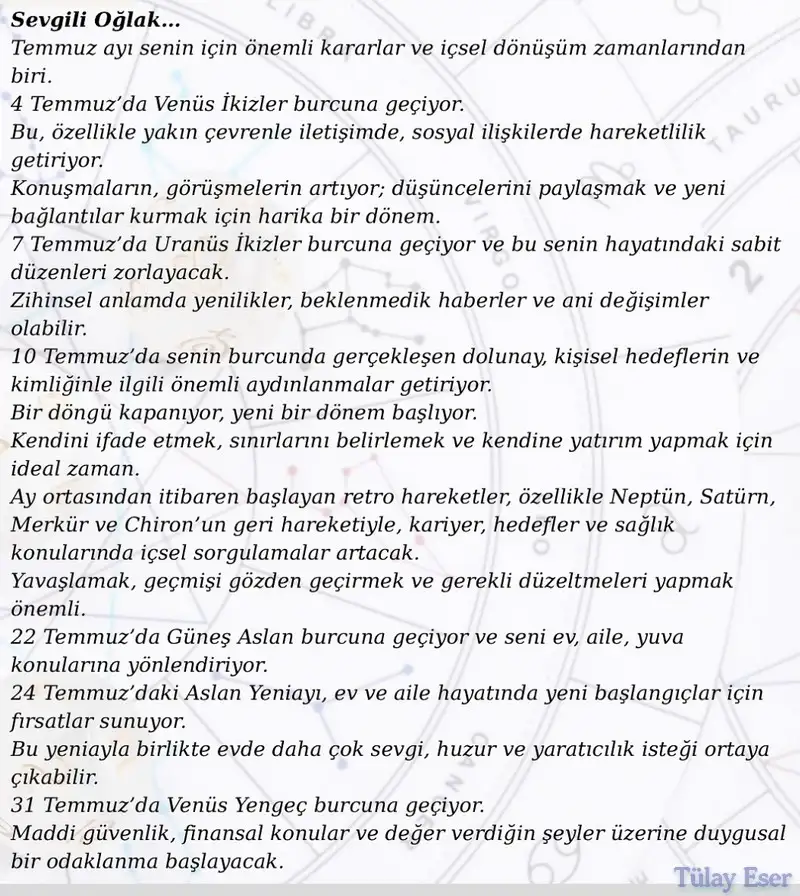 ay8 (13).webp
