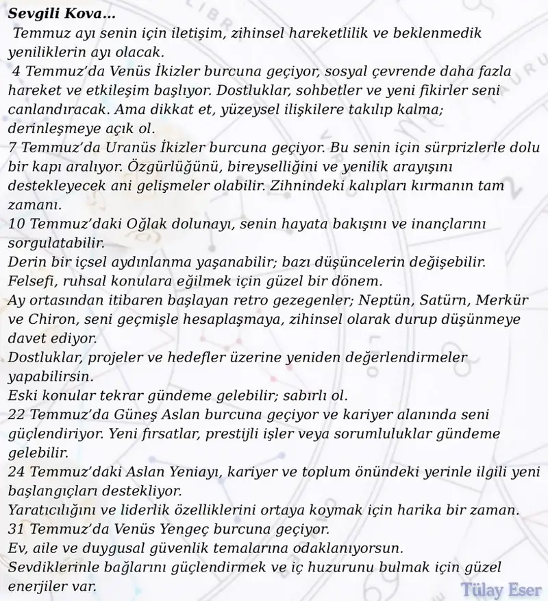 ay8 (14).webp