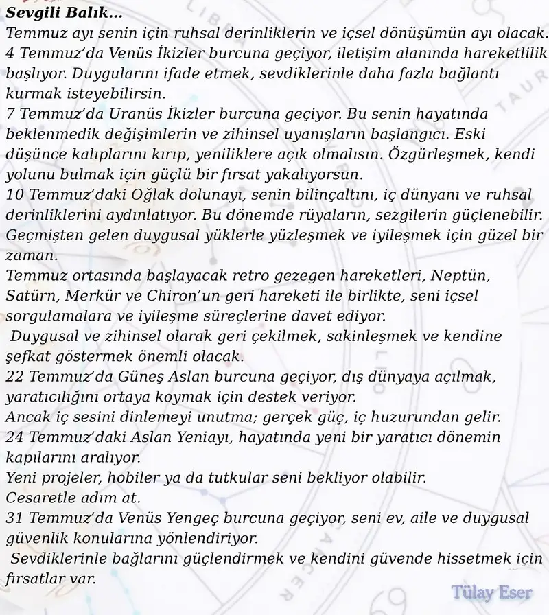 ay8 (15).webp