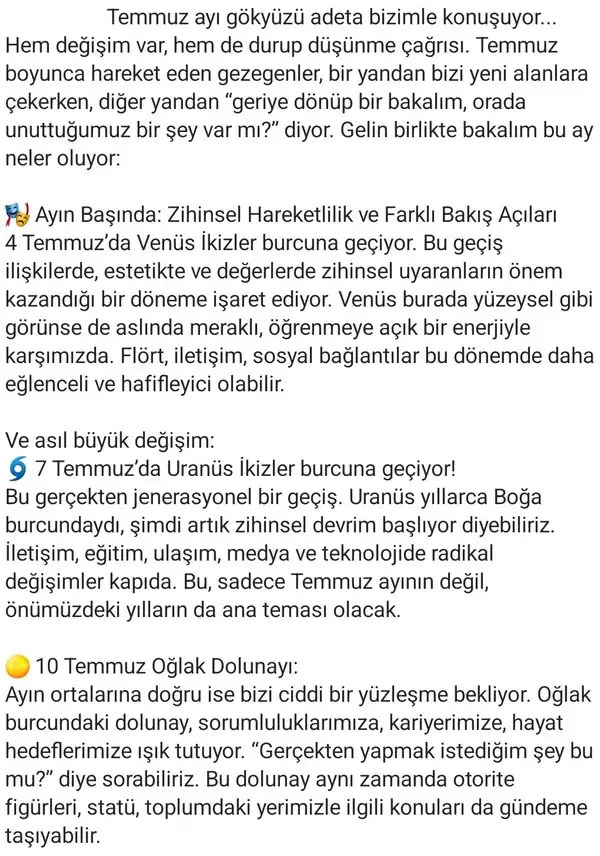ay8 (16).webp