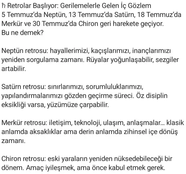 ay8 (17).webp