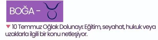 ay8 (2) - Kopya.webp