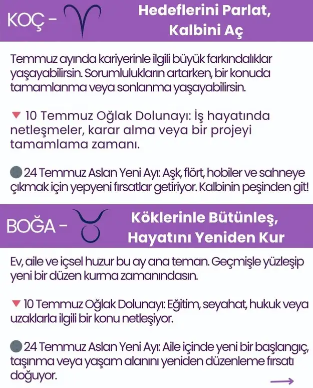 ay8 (2).webp
